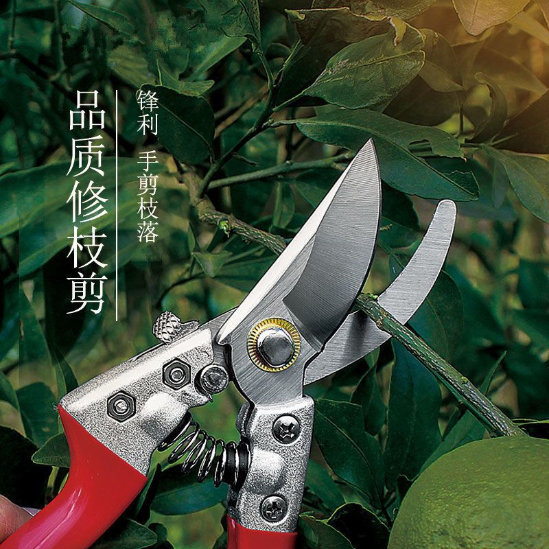 Original SK5 steel pruning shears, sharp and labor-saving scissors, branch pruning, gardening shears, fruit tree scissors, ordinary U-shaped scissors, small size (not recommended), SK5 large-diameter thick branch shears, imported from Japan