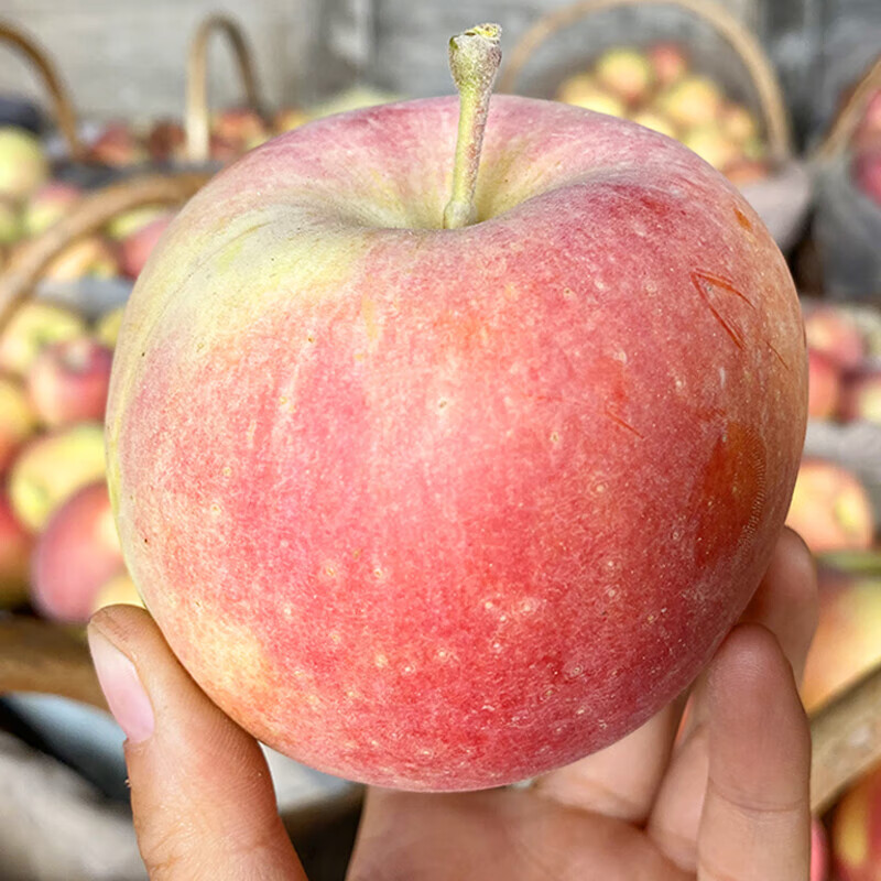 Longduoxian Xinjiang Rock Candy Apples, Ugly Apples, Fresh Fuji Seasonal Fruits, Holiday Gift Recommendations, Whole 5 Jin of Selected Good Fruits, 75-80MM, Net 4.5 Jin