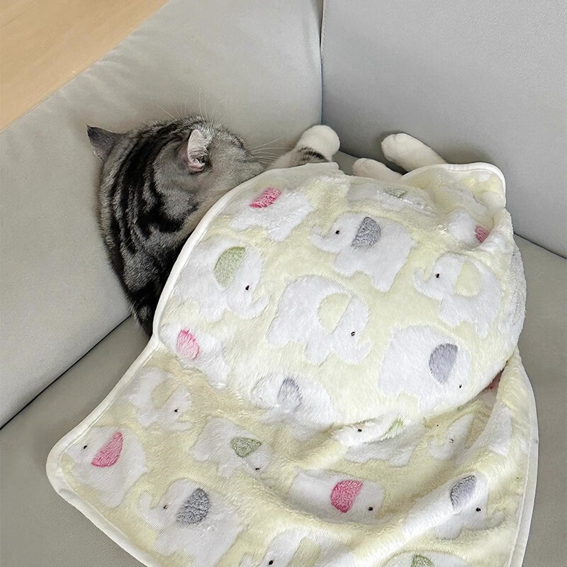 Guazhou Mu Autumn and Winter Pet Blanket Cat Blanket Warm Coral Velvet Cat and Dog Sleeping Mat Elephant Pink Blanket