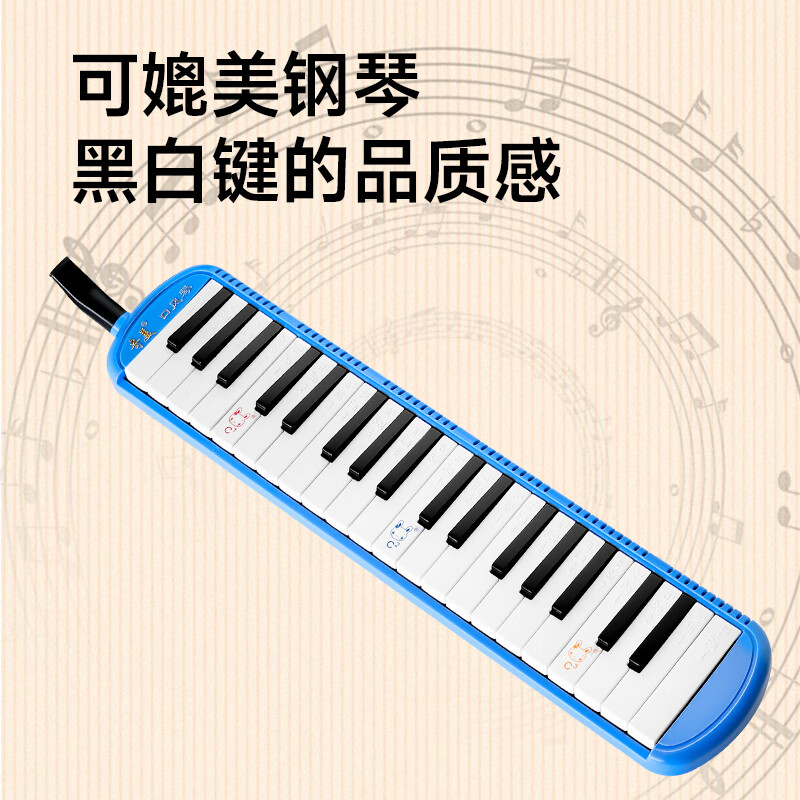 Chimei 37-key Teaching Recommendation Canvas Soft Case Mouth Organ Anzhe (Blue, With Playing Instructions)