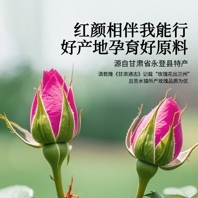 Tongrentang brand Beijing Tongrentang rose 80g dried rose tea can be mixed with chrysanthemum health tea