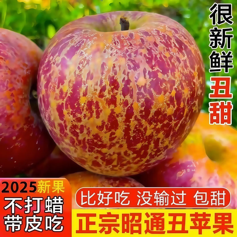 Jingxijia's authentic 25-year-old new fruit, Yunnan Zhaotong Rock Candy Chou Apple, seasonal fruit, freshly picked crispy and sweet wild Fuji apple, 2 pounds of medium-sized fruit in the whole box, fruit diameter 70-75, quality tasting