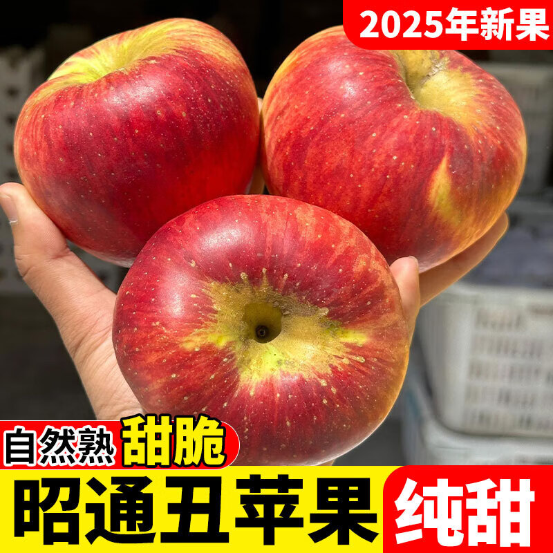 2025 Authentic Yunnan Zhaotong Rock Candy Apple Fresh Fruit Apple Seasonal Crisp Sweet Fruit Origin Straight Hair 9 Jin Pack Extra Large Fruit (90-100mm)