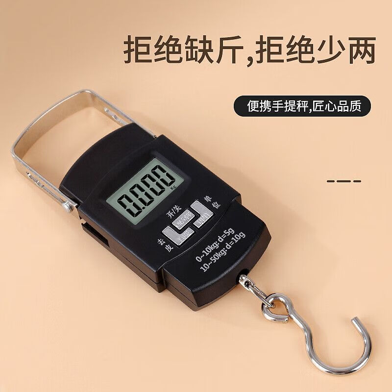 High-precision portable electronic scale small portable household mini fish scale hand luggage express spring hook small scale exclusive dual-core sensor 2nd generation weighing 102J-