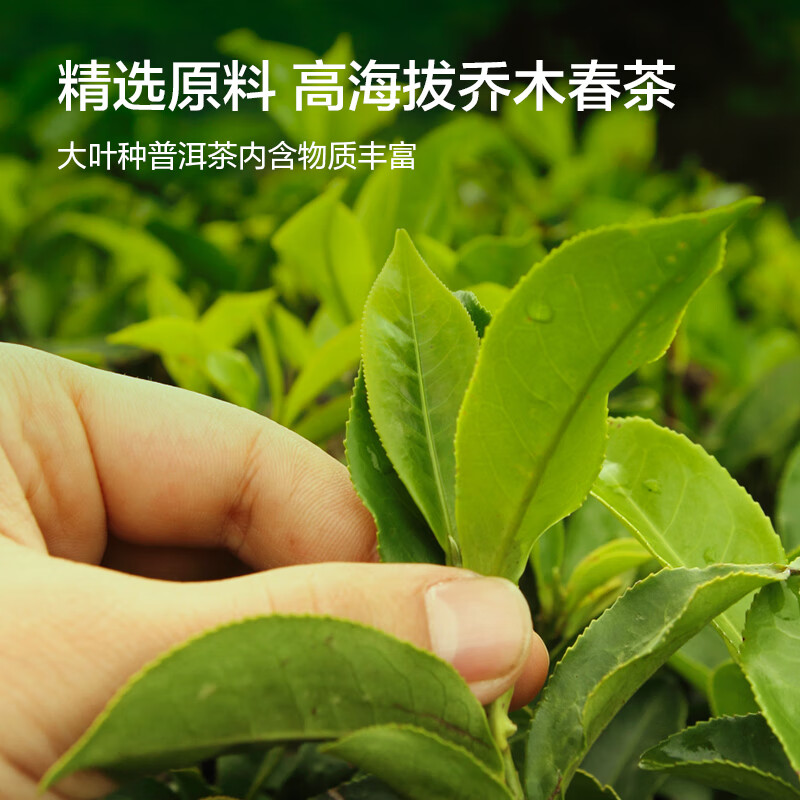 150g Pu'er ripe tea cake made in Beijing and Tokyo. 2017 Yunnan Pu'er tea tea stocking to accompany gifts and New Year's gift boxes. Self-operated