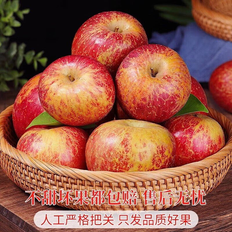 Jingxijia's authentic 25-year-old new fruit, Yunnan Zhaotong Rock Candy Chou Apple, seasonal fruit, freshly picked crispy and sweet wild Fuji apple, 2 pounds of medium-sized fruit in the whole box, fruit diameter 70-75, quality tasting