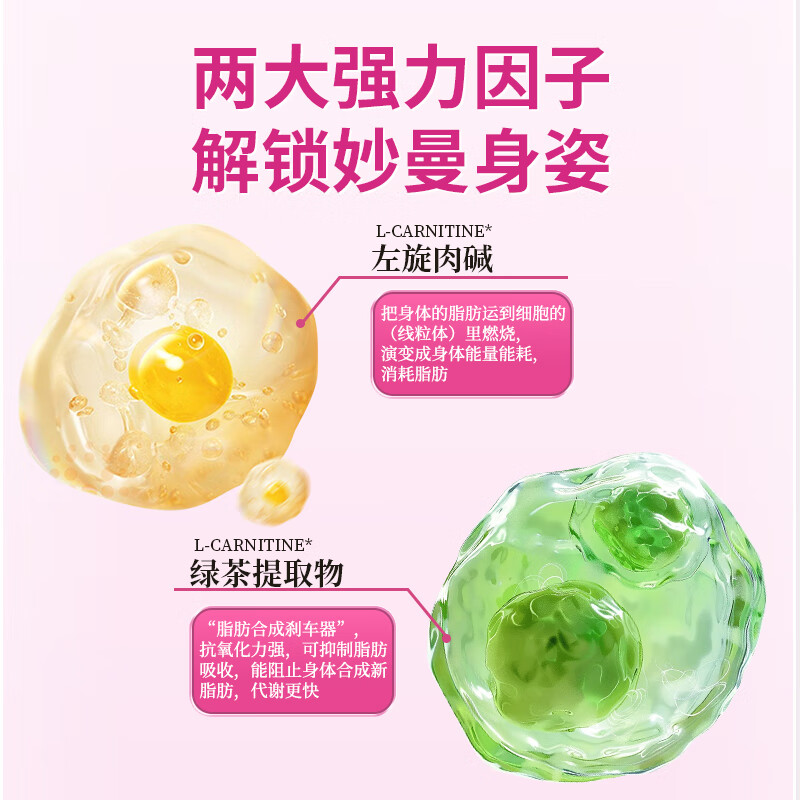 Shanchuanshu L-Carnitine Green Tea Capsules Shanchuanshu L-Carnitine Genuine Blue Hat Certified Weight Loss Fat Burning Slimming 2 Boxes Getting Better (30 Capsules*1 Box)