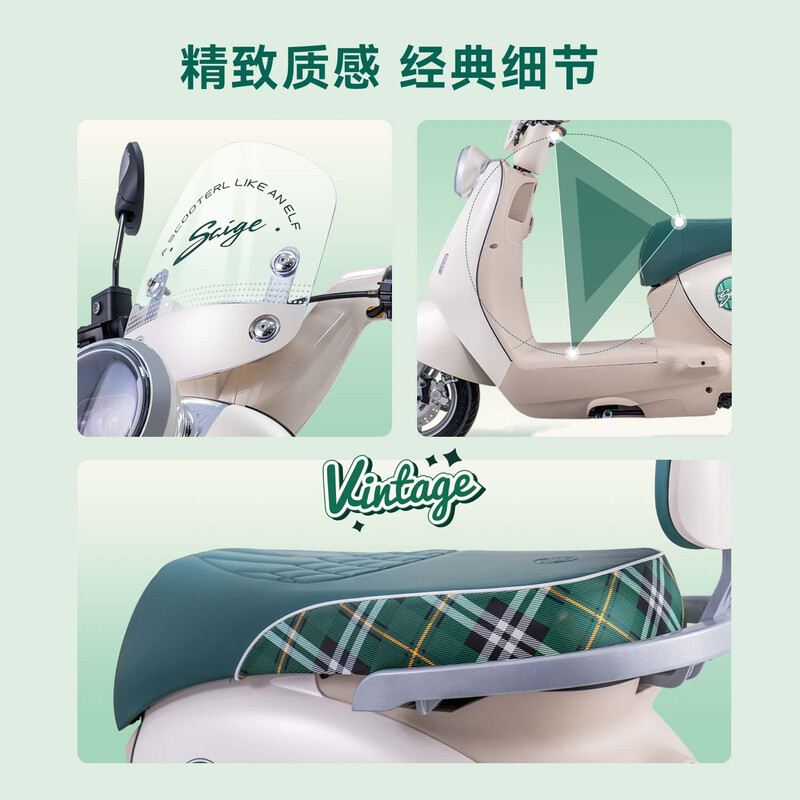 Racing pigeon electric light motorcycle Ruili 115KM long-range 72V32Ah lead-acid battery high-power high-end battery car for women high-looking commuter electric car pearlescent green