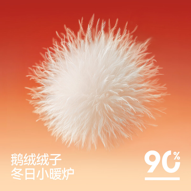 Same style as Semir shopping mall | XCNSPACE aerospace cooperation series down jacket for women 2025 goose down jacket 101725113005