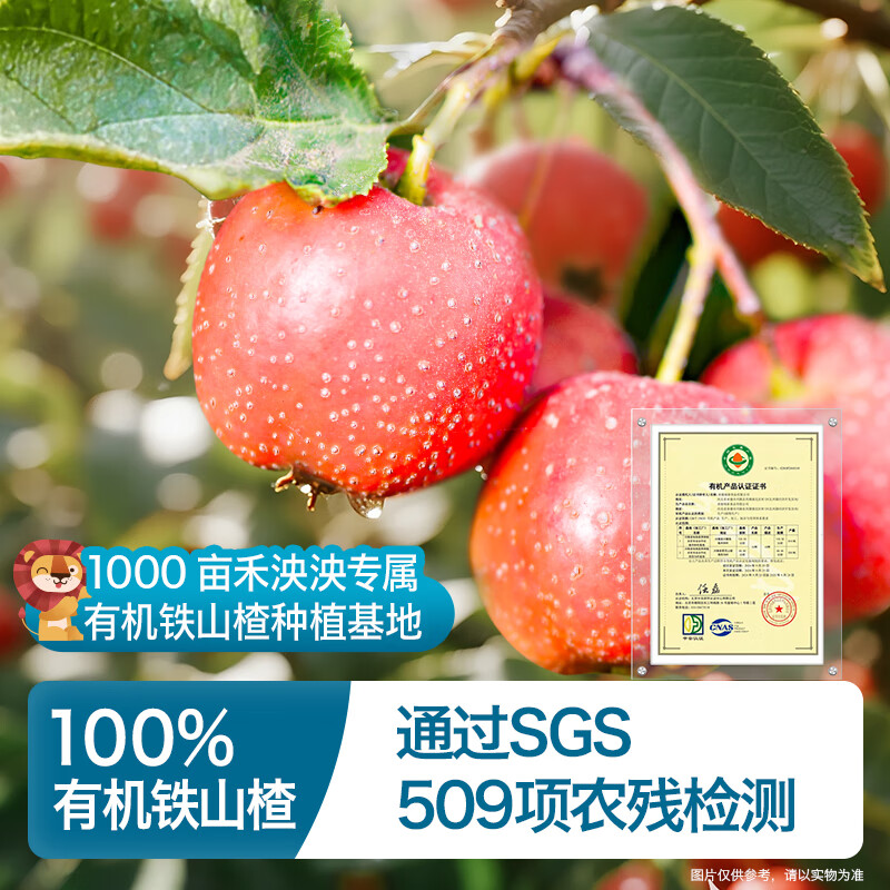 Heyangyang Vitamin C Strawberry Haw Bars 48g Children's and Baby Snacks Rich in Dietary Fiber Fruit Bars