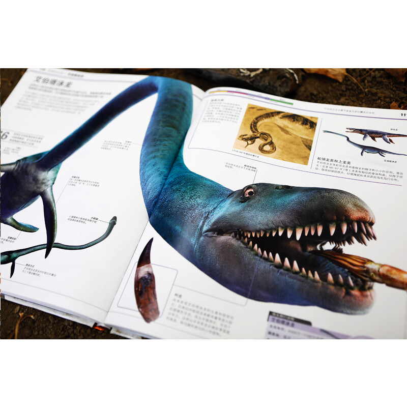 DK Encyclopedia of Dinosaur Knowledge, Hardcover Green Printing, Complete Collection of Dinosaur World, Popular Science Encyclopedia for Primary and Secondary School Students, Illustrated Book of Prehistoric Animals for 6-14 Years Old, Boys’ Favorite Popular Science Book
