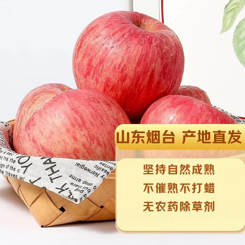 Dongdong Farm exclusively supplies Shandong Yantai Red Fuji apples, crispy, sweet and juicy Qixia ugly apples 80mm + 9kg in box