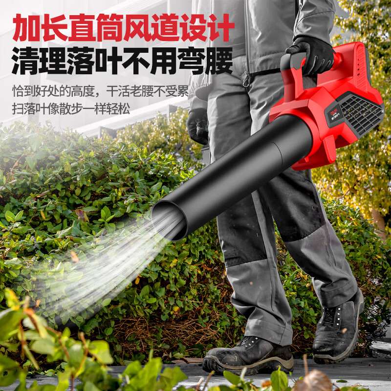 Delixi Electric lithium hair dryer industrial violent fan rechargeable blower snow blower dust removal household dust blowing power tool