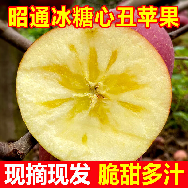 Yunnan Zhaotong rock candy heart ugly apple fruit fresh seasonal whole box Fuji red dew apple crispy sweet Mid-Autumn Festival selected fruit single fruit 50-60mm 2 catties trial pack