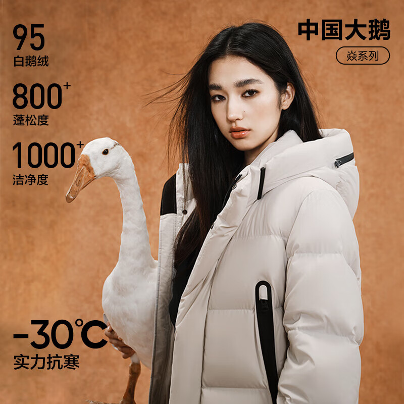 NetEase carefully selects China Big Goose Yanyun co-branded Yan 3.0 high-luxury 95% white goose down high-loft down jacket five-proof antibacterial quilt Xuanmo (regular style) L (175/96A)