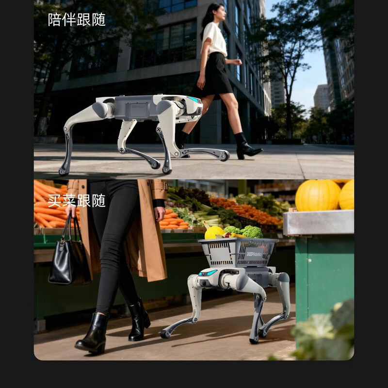 Miss Dolphin Cloud Deep Technology Lite3 Education and Research Intelligent Quadruped Robot Scenic Area Guide Machine Electronic Dog Mechanical Dog Electronic Pet Dog Automatically Follows Remote Control Robot Dog AI Version