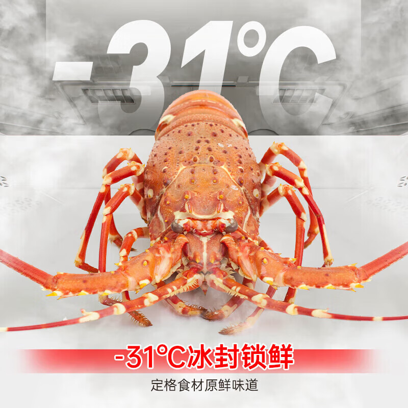 Rongsheng Cube 515 Machine Emperor Dual Purifier Dual System Automatic Ice Making French Multi-door Four-Door Thin Embedded Refrigerator Home First-Class Energy Efficiency Gray Active Sterilization Refrigerator Subsidy Dual Purifier Dual System + Automatic Ice Making