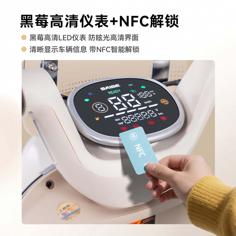 Racing pigeon electric light motorcycle Ruili 115KM long-range 72V32Ah lead-acid battery high-power high-end battery car for women high-looking commuter electric car pearlescent green