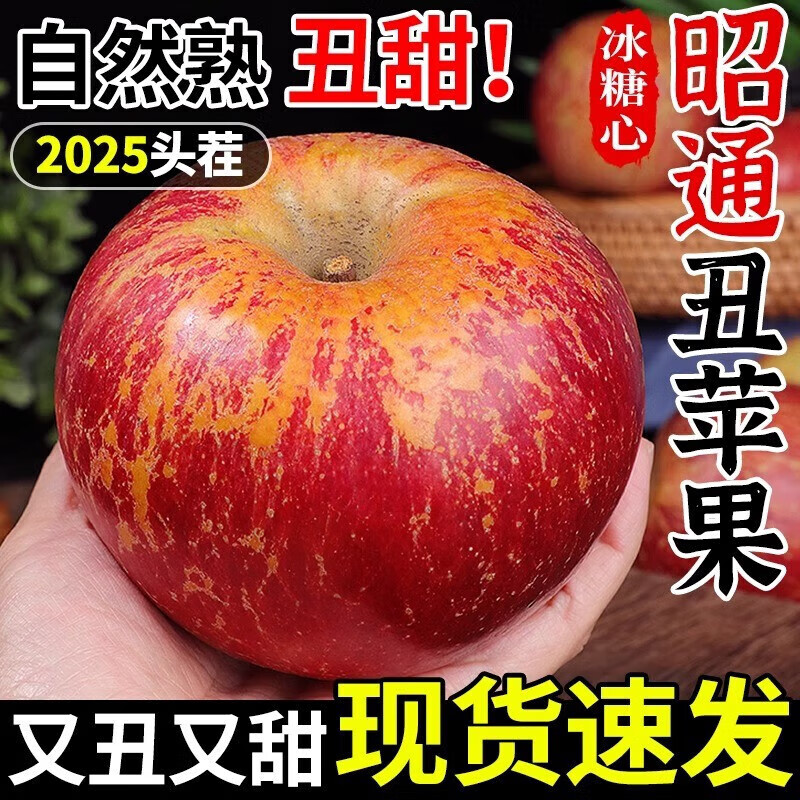 Jingxijia's authentic 25-year-old new fruit, Yunnan Zhaotong Rock Candy Chou Apple, seasonal fruit, freshly picked crispy and sweet wild Fuji apple, 2 pounds of medium-sized fruit in the whole box, fruit diameter 70-75, quality tasting