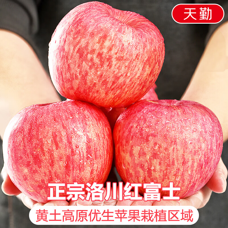 Jingdi Dalochuan apple net weight 7.2 catties single fruit 180g + Shaanxi Red Fuji apple gift box direct from source with free shipping