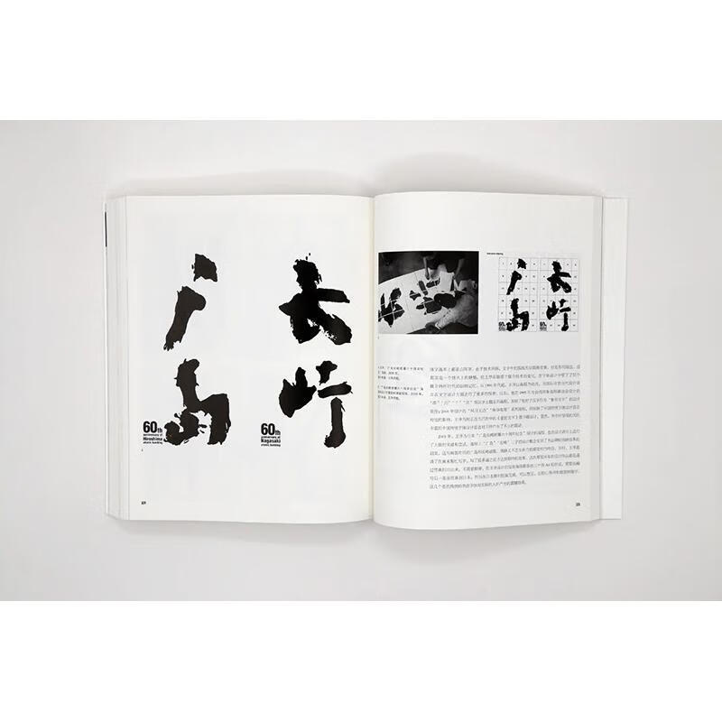 Illustrated History of Modern Chinese Character Design Peking University Press Book by Zhou Bo