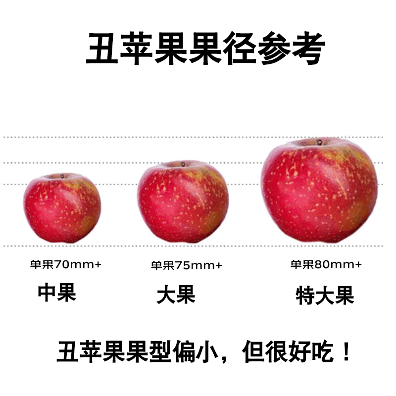 Jingmi Sichuan Daliangshan Ugly Apple, 3kg net, single fruit 70mm+, fresh fruit rock candy, straight from the source