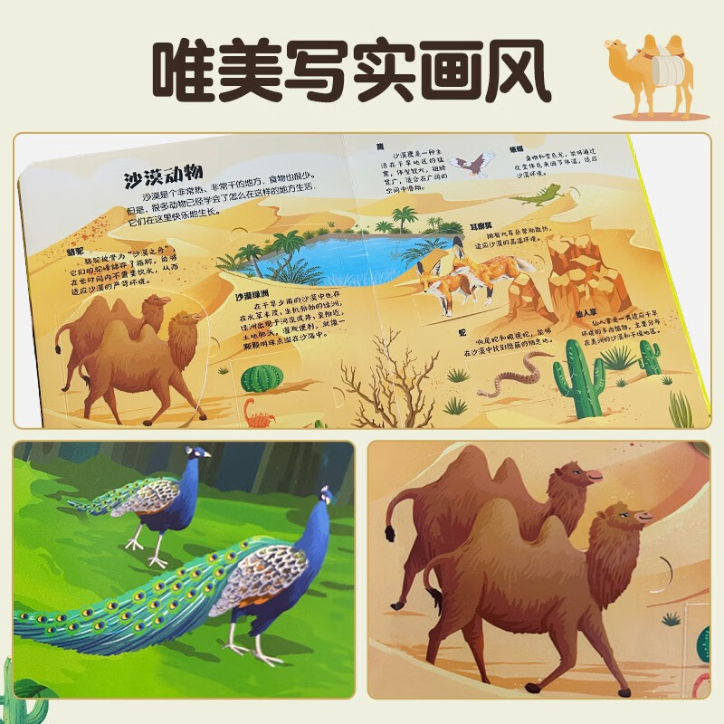 A complete set of 5 volumes for parents and children to read together. Flip through the 3D pop-up book for children’s science enlightenment. Our China + Animals + Planes + Cars + Astronauts