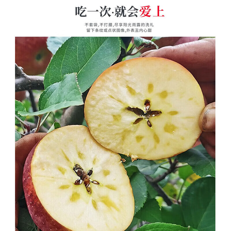 Sichuan Apple Crisp Sweet Rock Candy Heart Fuji Apple Fruit Fresh Salt Source Chou Apple Fresh 1kg 60-70mm+ Try it out