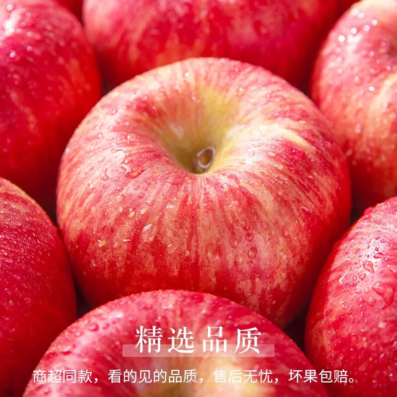 Luochuan Apple Shaanxi Yan'an Red Fuji Apple Fruit Fresh Gift Box Gift Box 15 85mm Large Fruit Apple Seasonal Fruit 15 Pieces 85