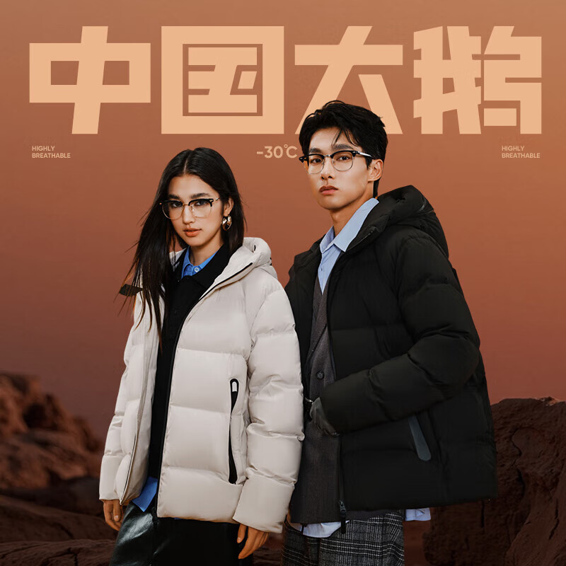 NetEase carefully selects China Big Goose Yanyun co-branded Yan 3.0 high-luxury 95% white goose down high-loft down jacket five-proof antibacterial quilt Xuanmo (regular style) L (175/96A)