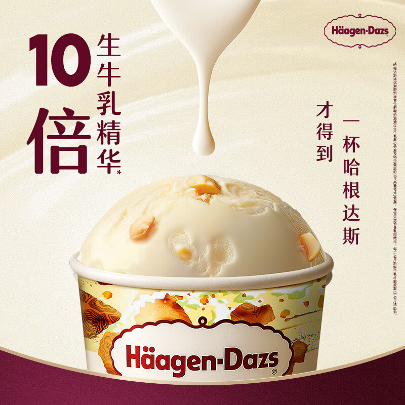 Haagen-Dazs Classic Macadamia Nut Flavor Ice Cream 100ml/cup Ice Cream