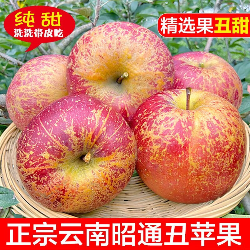 Jingxijia's authentic 25-year-old new fruit, Yunnan Zhaotong Rock Candy Chou Apple, seasonal fruit, freshly picked crispy and sweet wild Fuji apple, 2 pounds of medium-sized fruit in the whole box, fruit diameter 70-75, quality tasting