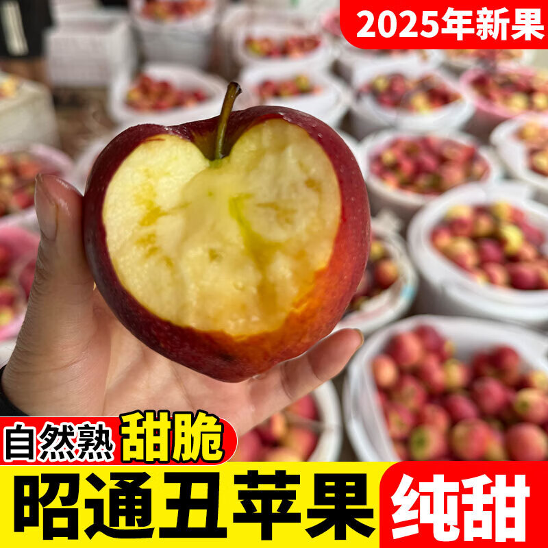2025 Authentic Yunnan Zhaotong Rock Candy Apple Fresh Fruit Apple Seasonal Crisp Sweet Fruit Origin Straight Hair 9 Jin Pack Extra Large Fruit (90-100mm)