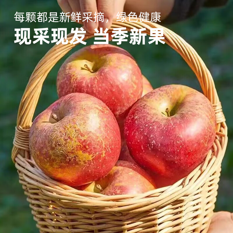 Fun taste of Yunnan Zhaotong ugly apples, crisp and sweet, net weight 5 pounds, single fruit 85mm+, 9 pieces packed, direct from the source, free shipping