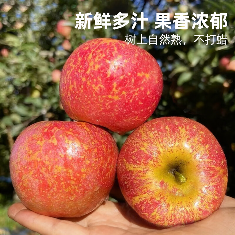 Fun taste of Yunnan Zhaotong ugly apples, crisp and sweet, net weight 5 pounds, single fruit 85mm+, 9 pieces packed, direct from the source, free shipping