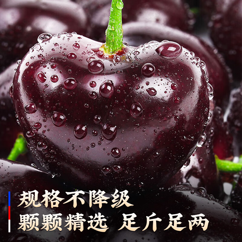 JDBMO Chilean cherries next day delivery SF/JD - door-to-door delivery Imported large cherry fresh fruit as a gift 3 pounds (net weight) Black Diamond Grade 4JJJJ Rare Fruit King