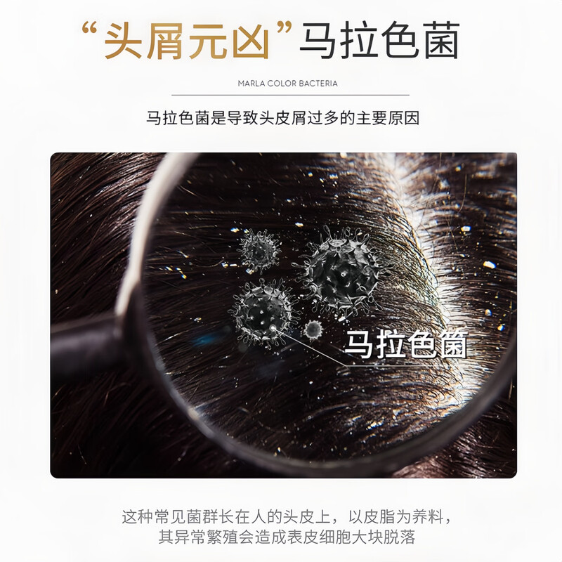 Chuangmeidai coal tar shampoo lotion official flagship hair follicle seborrheic scalp anti-dandruff anti-itching water dew oil control inflammation