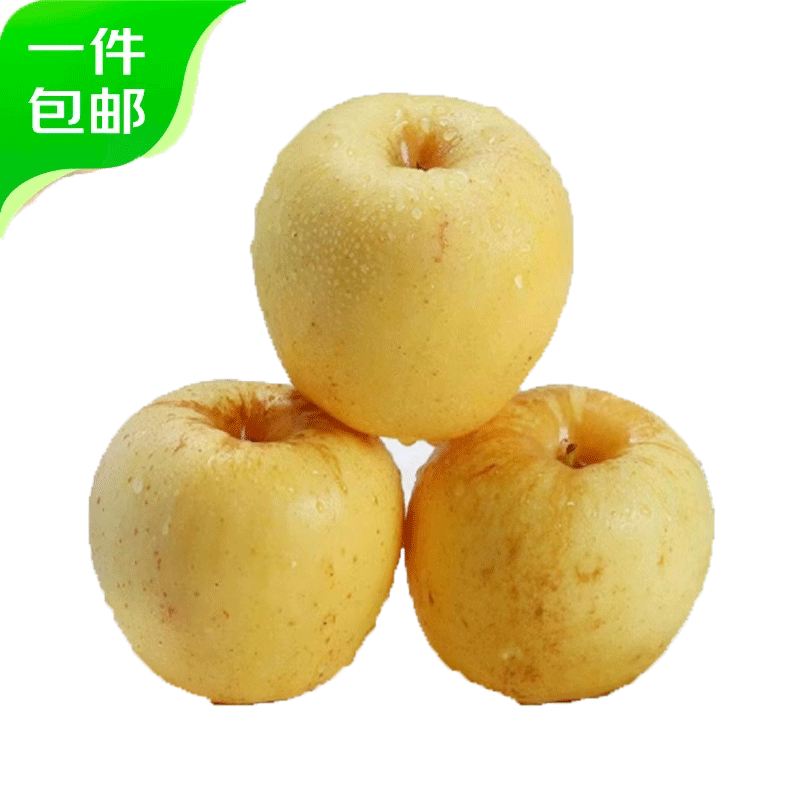 Jingxiansheng Shandong Venus Apple 8.5kg, single fruit 75-80mm, shipped directly from the source, free shipping