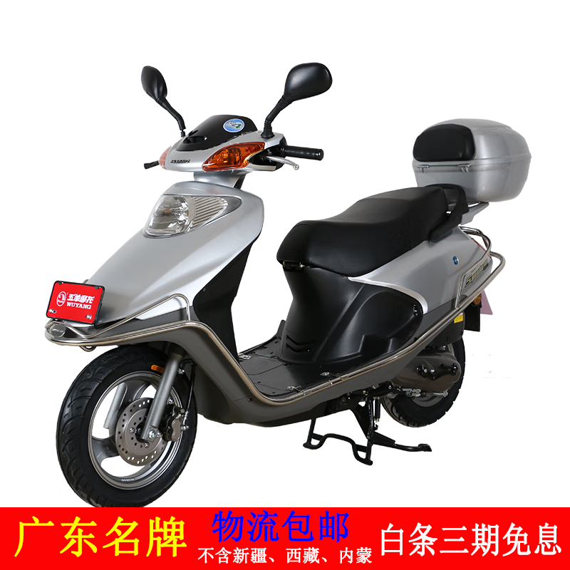 Wuyang (WUYANG) Classic Little Princess WY100T-2D Joy 100 National IV EFI Women's Pedal Economical and Practical Wuyang Motorcycle Light Gray