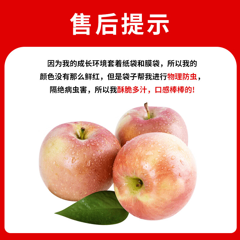 Jingxiansheng Shanxi Plateau Red Fuji Apples, net weight 4.5kg, single fruit 80-85mm, straight from the source