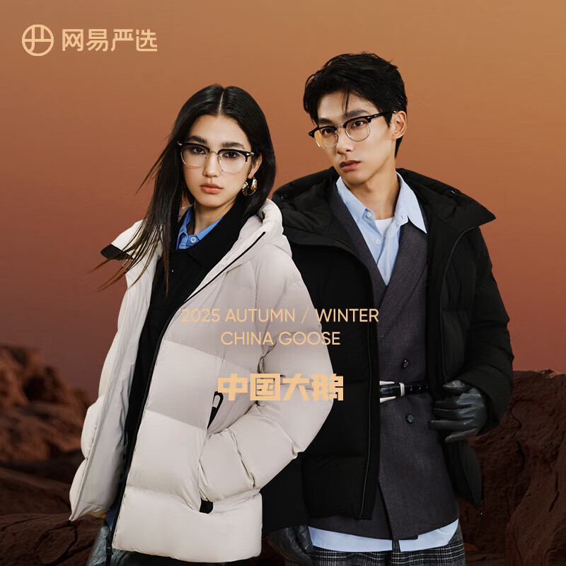 NetEase carefully selects China Big Goose Yanyun co-branded Yan 3.0 high-luxury 95% white goose down high-loft down jacket five-proof antibacterial quilt Xuanmo (regular style) L (175/96A)