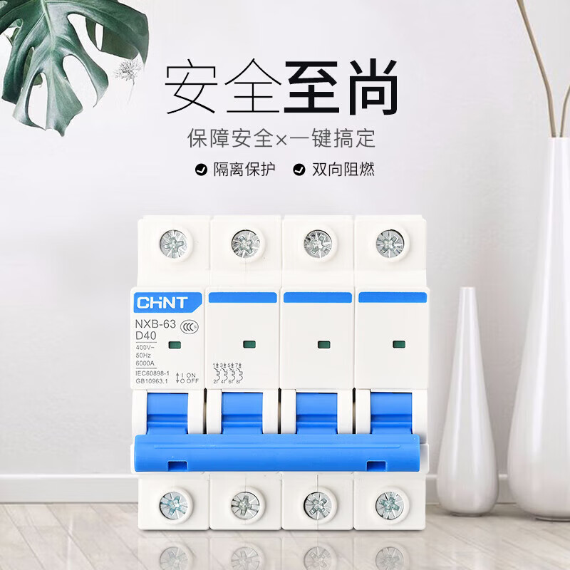 Chint air switch NXB-125 circuit breaker D type small 1P 2P 3P air switch DZ47 upgraded power type 63 1P 1A
