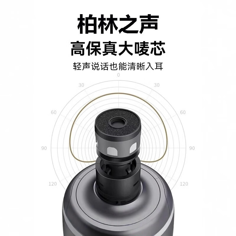 Erilles Berlin Voice Microphone Bluetooth Audio Integrated Wireless Microphone Outdoor Family KTV Live Broadcast Home Karaoke Sound Card Gray Deluxe Edition Charging Base + Storage Bag + Gift