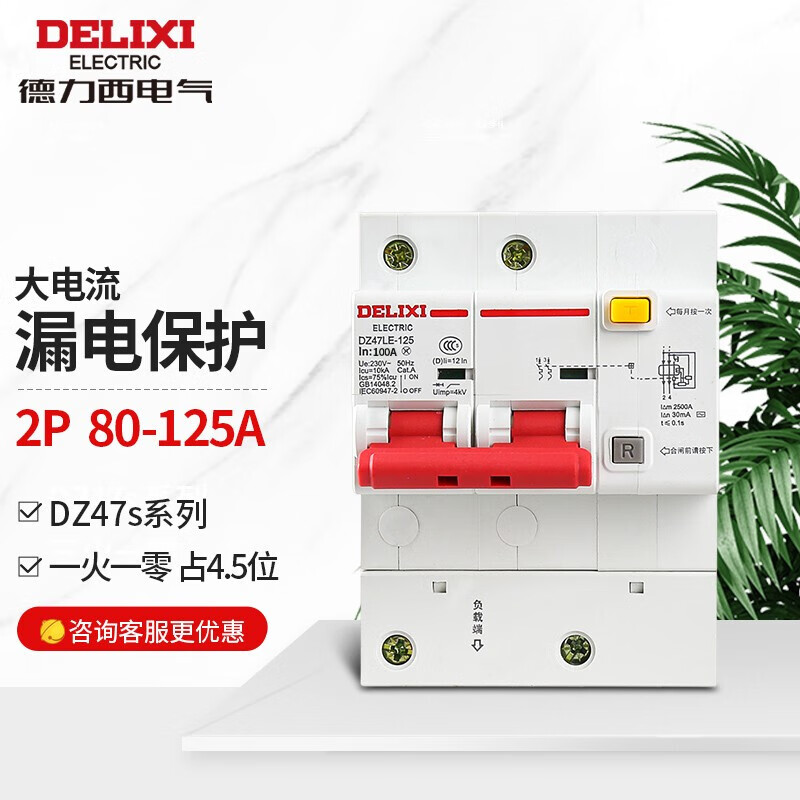 Delixi Electric leakage protector high current household leakage protection air leakage protection circuit breaker DZ47LE-125 2P li(C) 125A