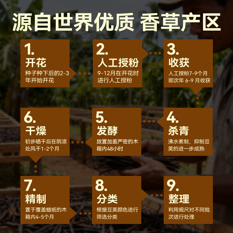 Zhanyi Vanilla Pods 4g 17-20cm Baking Ingredients Vanilla Sticks Basque Bread Ice Cream Dessert Flavor