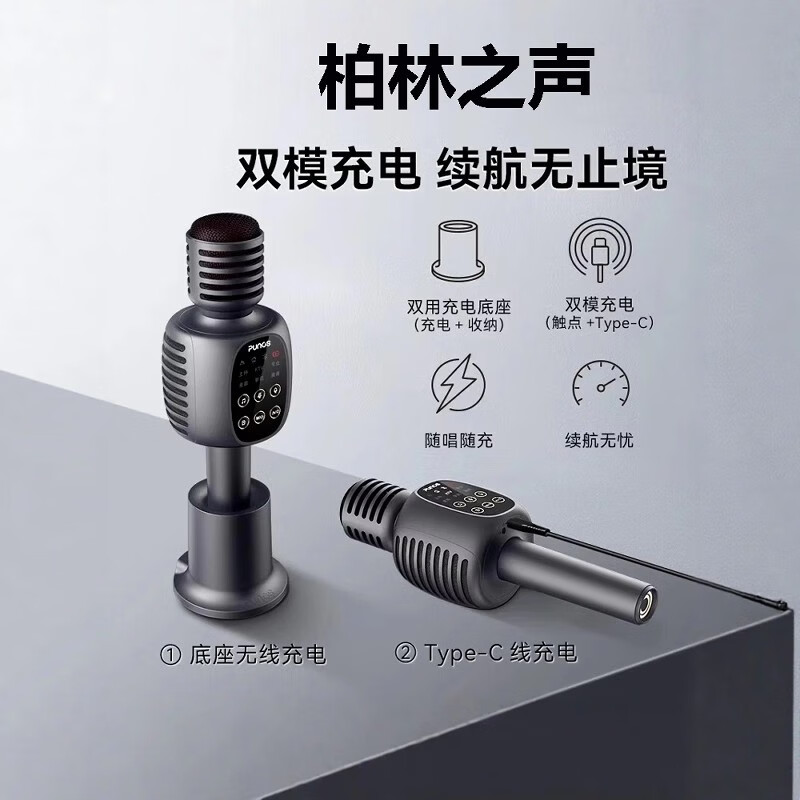 Erilles Berlin Voice Microphone Bluetooth Audio Integrated Wireless Microphone Outdoor Family KTV Live Broadcast Home Karaoke Sound Card Gray Deluxe Edition Charging Base + Storage Bag + Gift