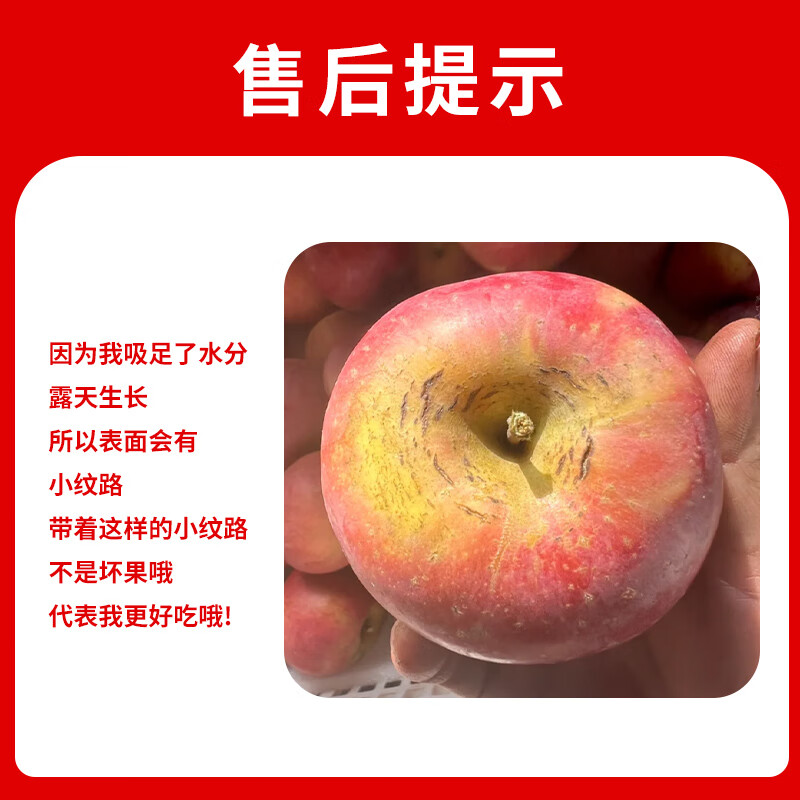 Jingxiansheng Shanxi Plateau Red Fuji Apples, net weight 4.5kg, single fruit 80-85mm, straight from the source