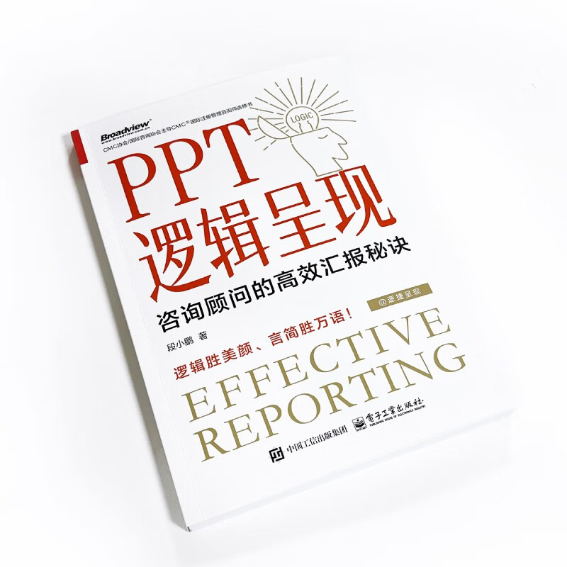 PPT logical presentation of consultants’ tips for efficient reporting (produced by Bowen Viewpoint)