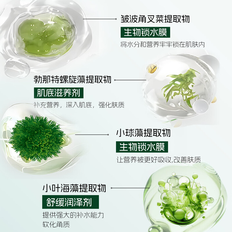 ANNA BELLA Anna Bella Thai seaweed giant hydrating mask set repairs anti-wrinkle firming beauty and men only