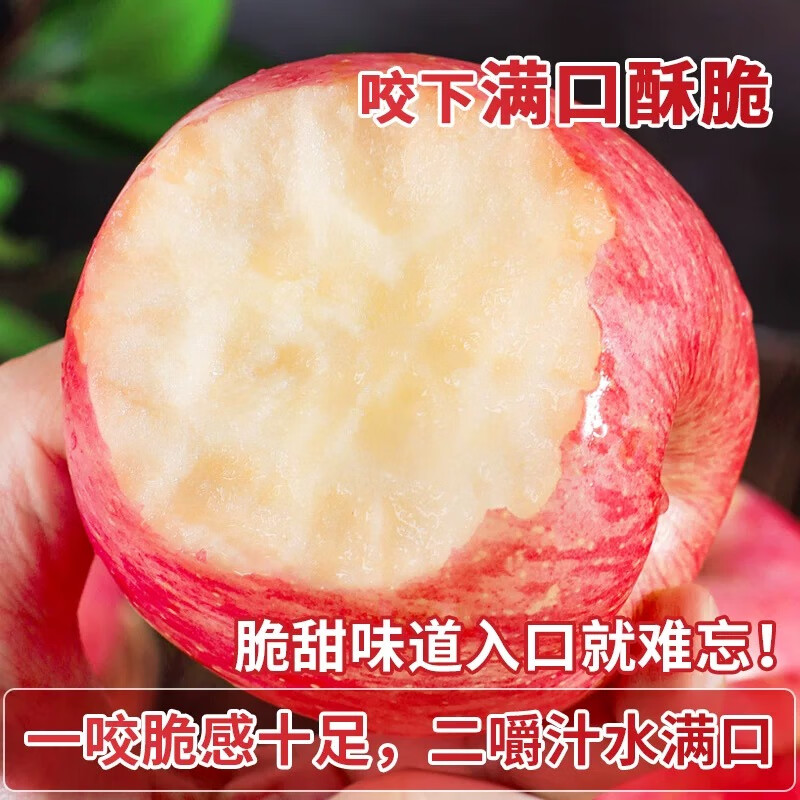 Dongdong Farm exclusively supplies Shandong Yantai Red Fuji apples, crispy, sweet and juicy Qixia ugly apples 80mm + 9kg in box
